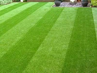 Synthetic Grass