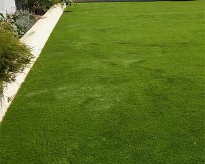 Artificial Grass San Diego, CA